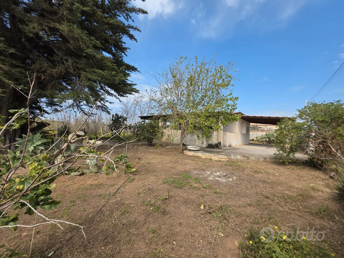 immagine annuncio 5 di 10