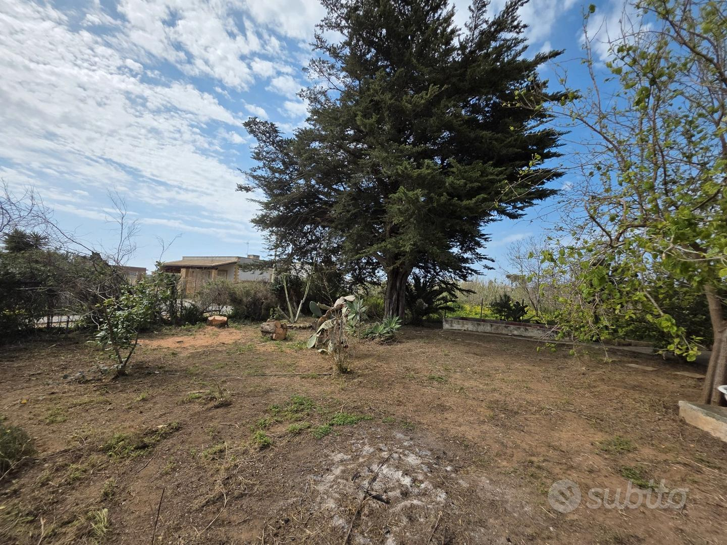 immagine annuncio 6 di 10