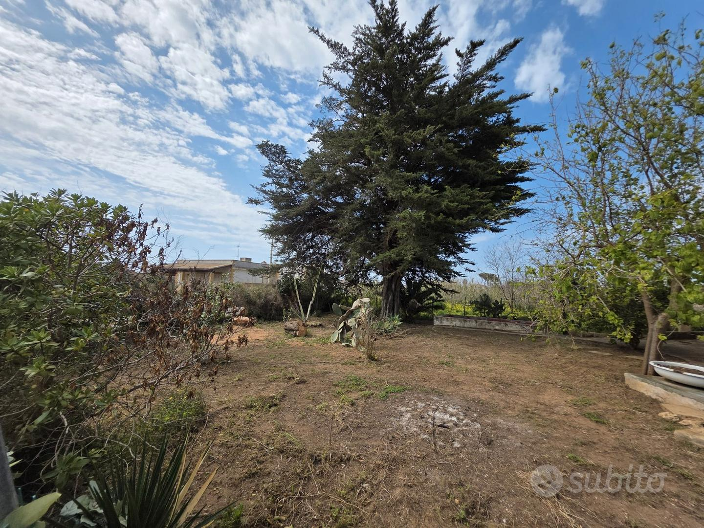 immagine annuncio 7 di 10