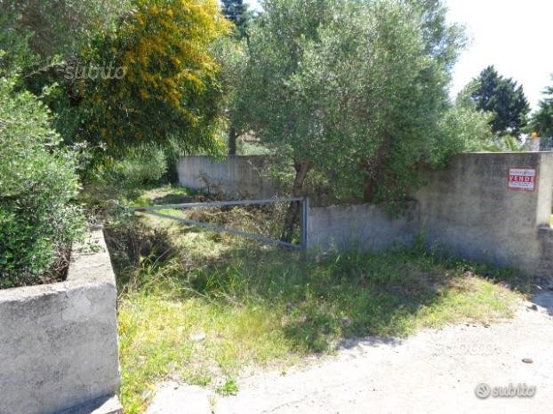 immagine annuncio 2 di 8