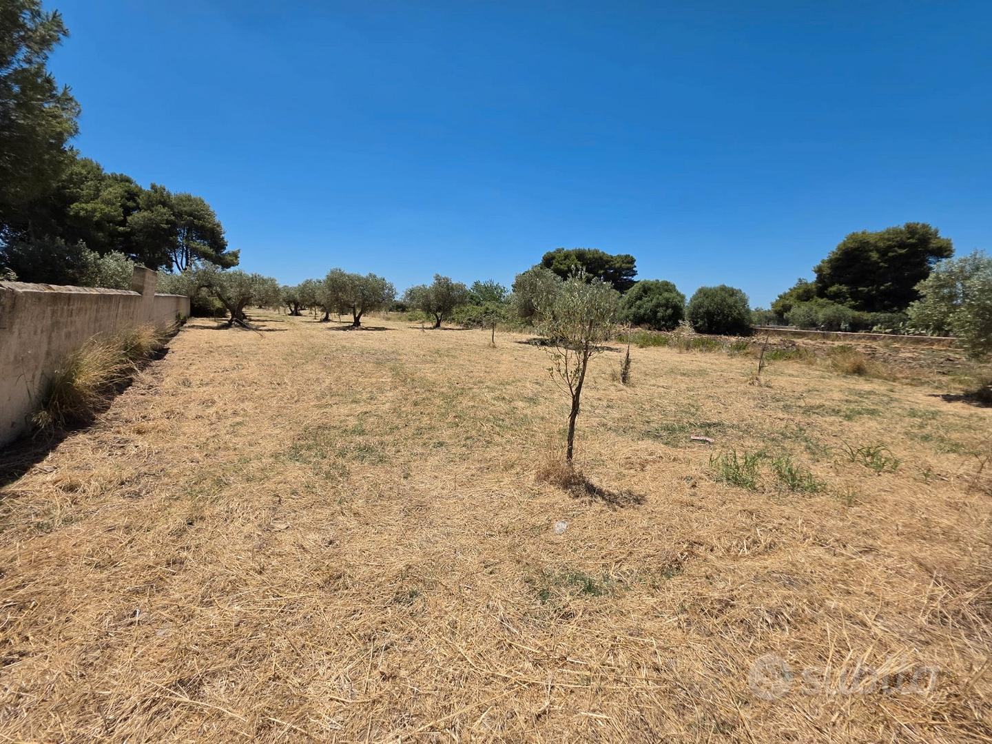 immagine annuncio 9 di 10