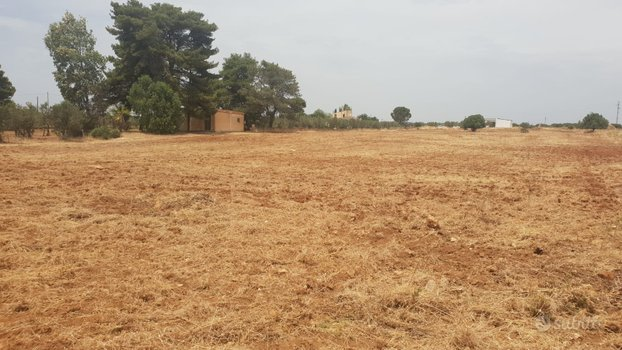 immagine annuncio 9 di 10