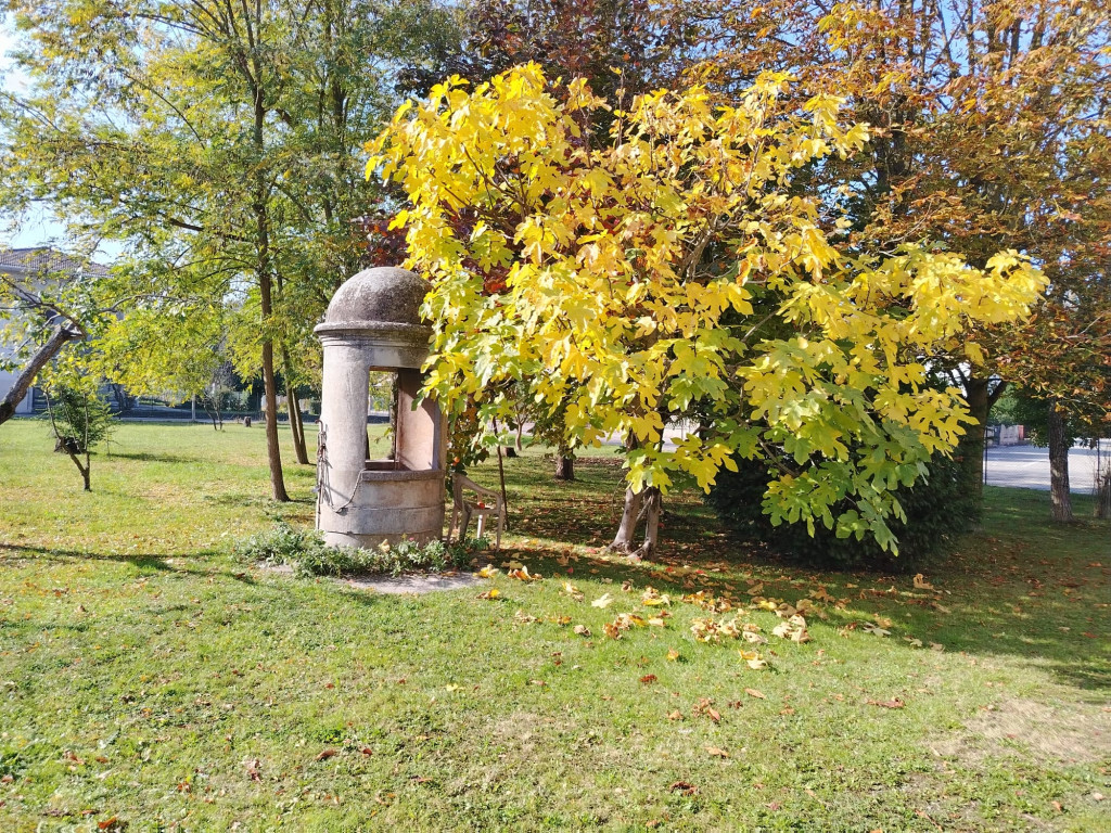 immagine annuncio 6 di 10