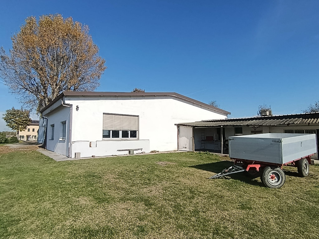 immagine annuncio 7 di 10