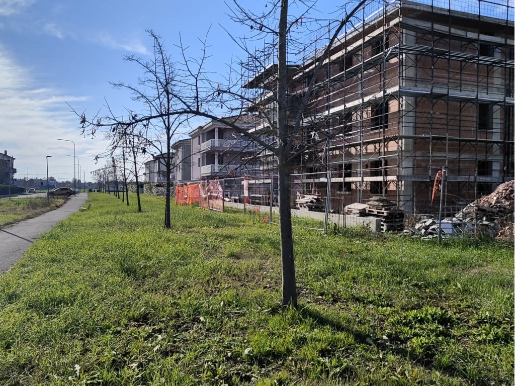 immagine annuncio 7 di 10