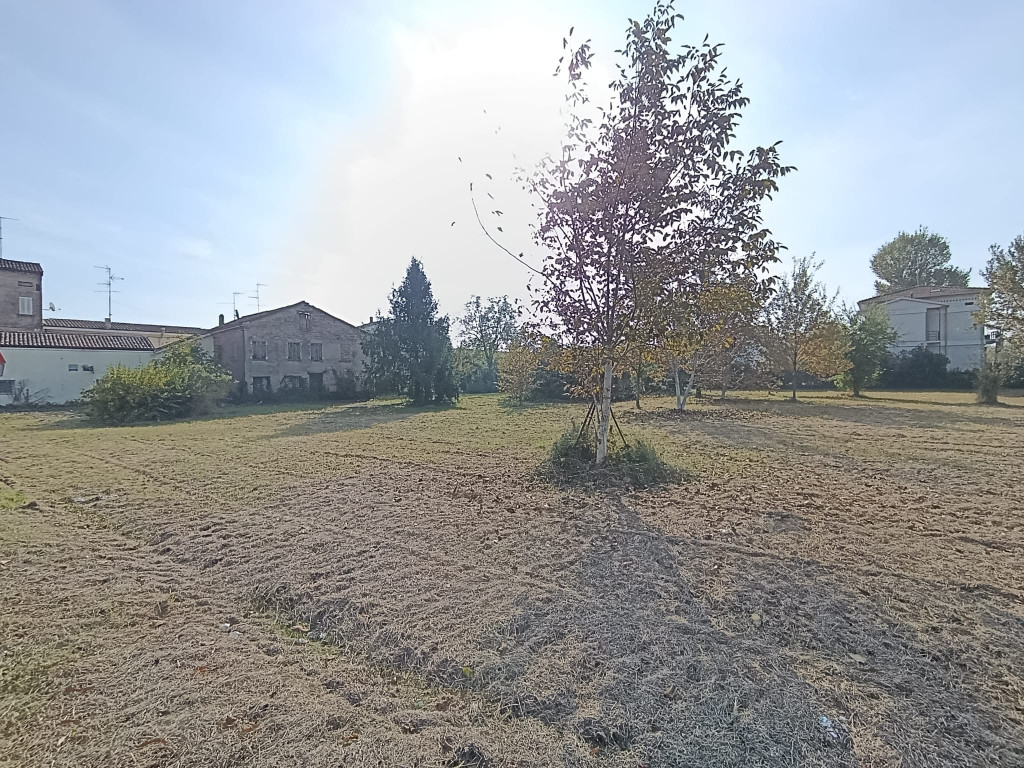 immagine annuncio 2 di 6