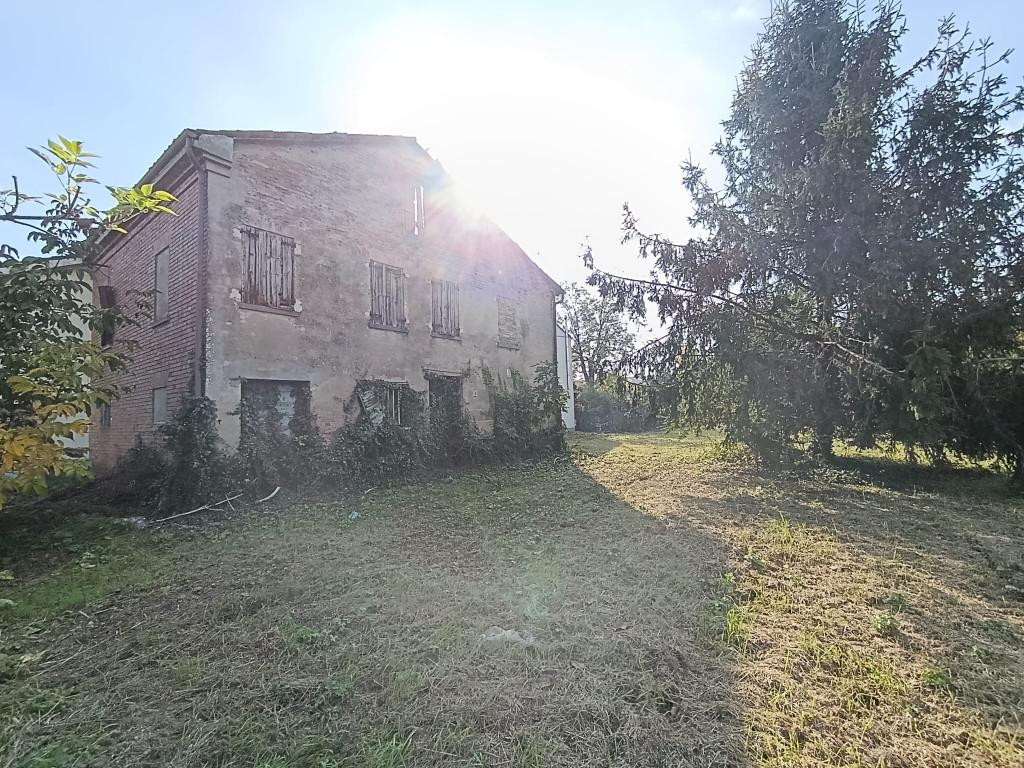 immagine annuncio 4 di 6