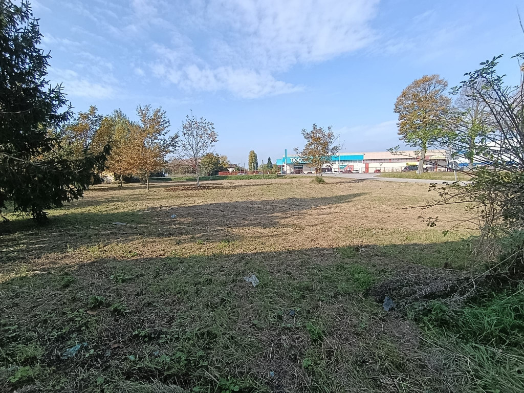 immagine annuncio 5 di 6