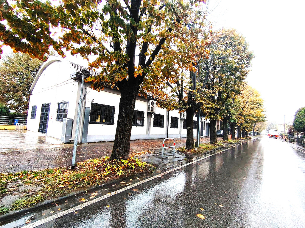 immagine annuncio 2 di 10