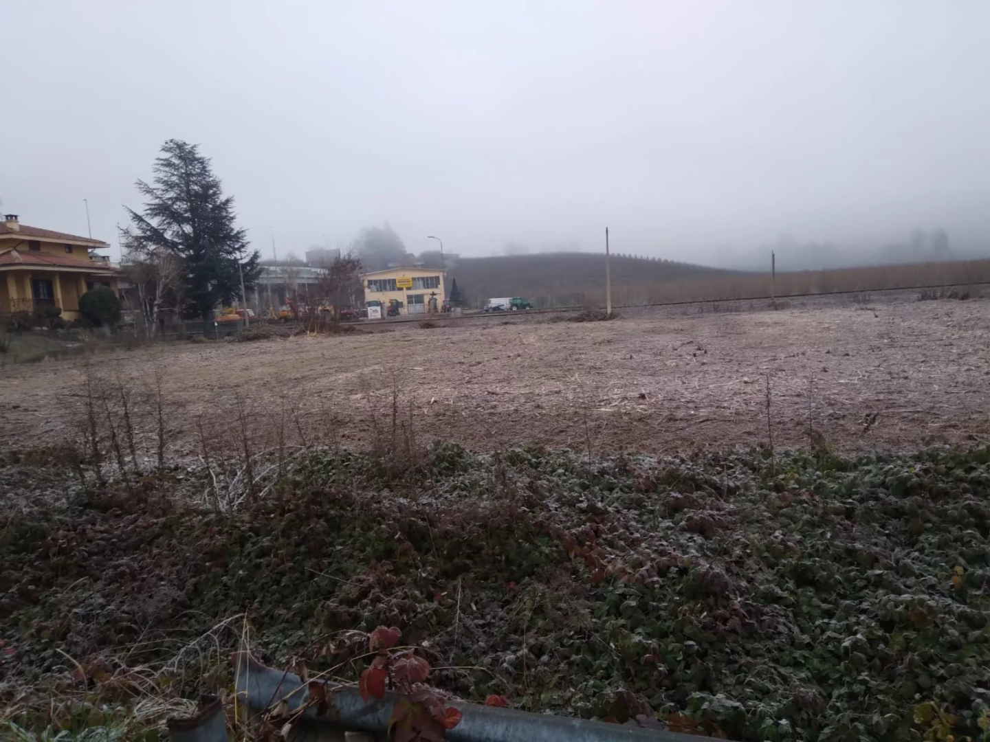 immagine annuncio 2 di 7