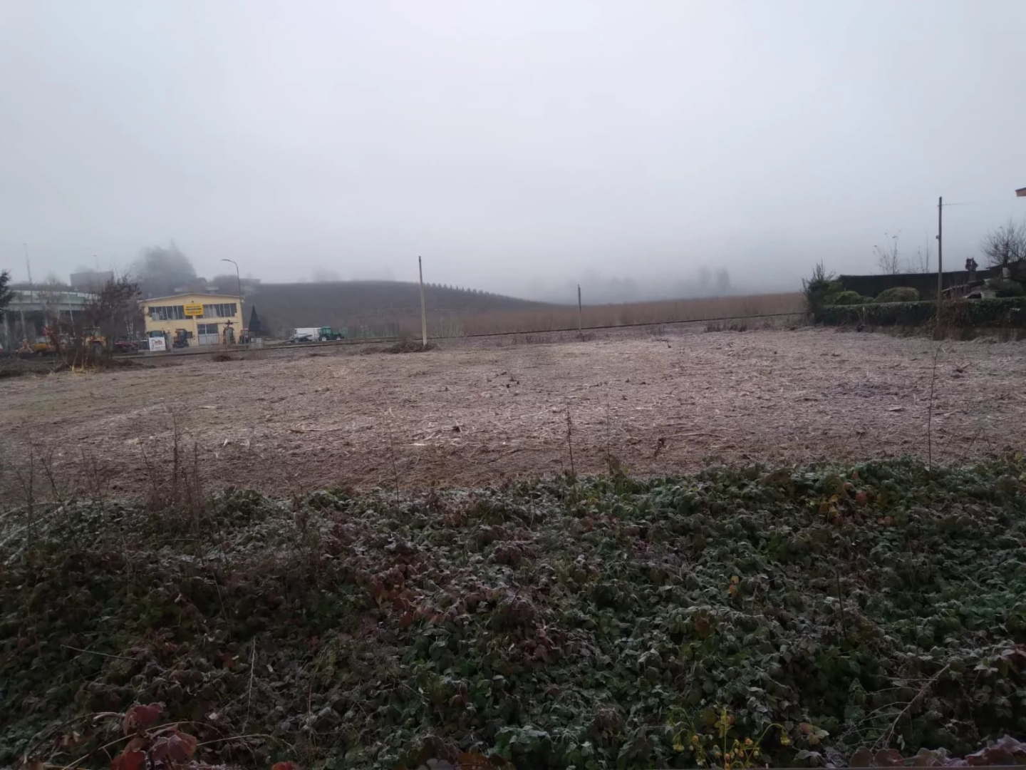 immagine annuncio 6 di 7