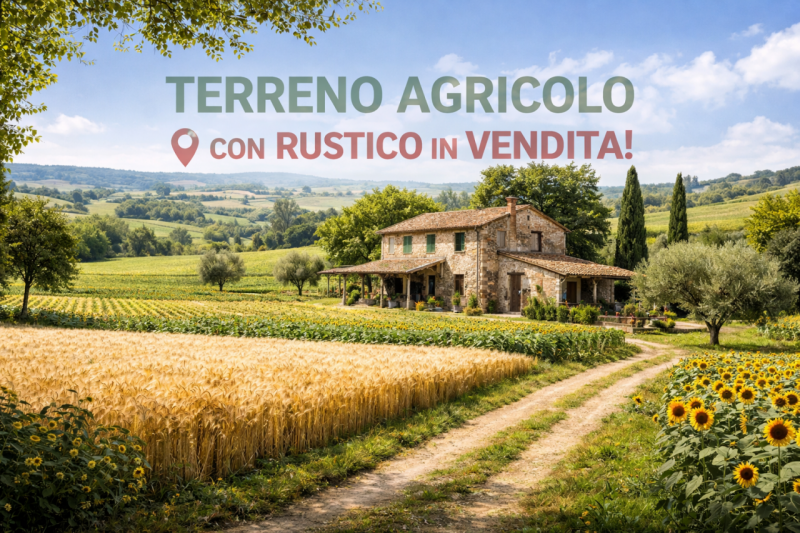 immagine annuncio 1 di 2