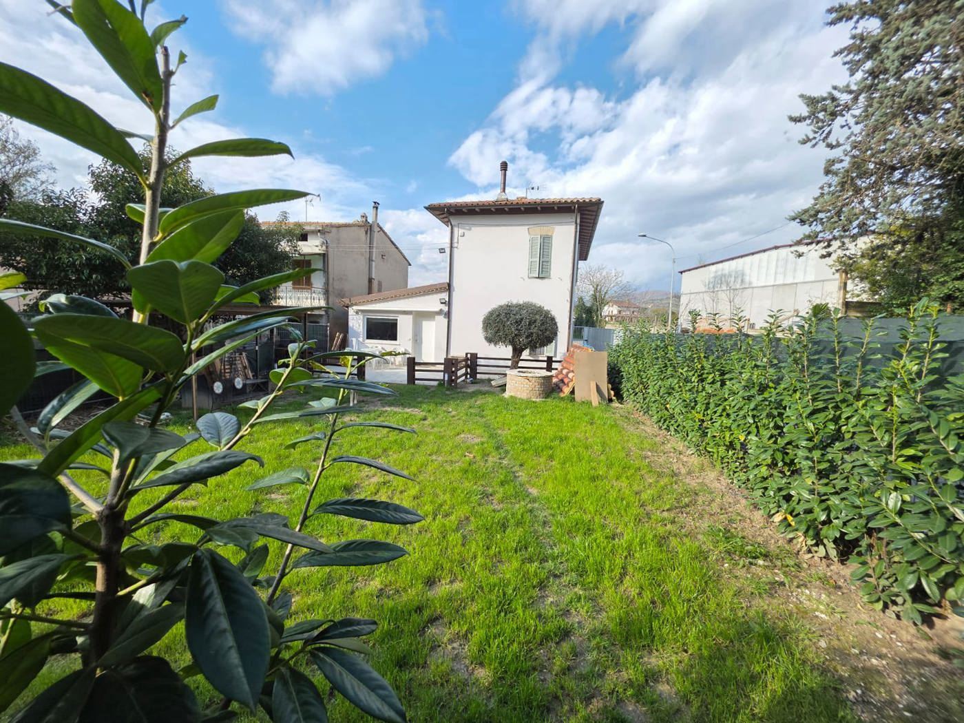 immagine annuncio 1 di 10