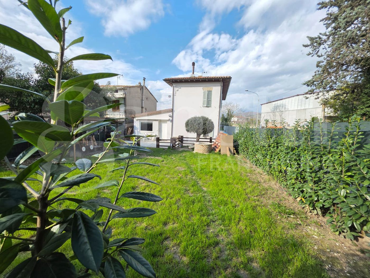 immagine annuncio 1 di 10