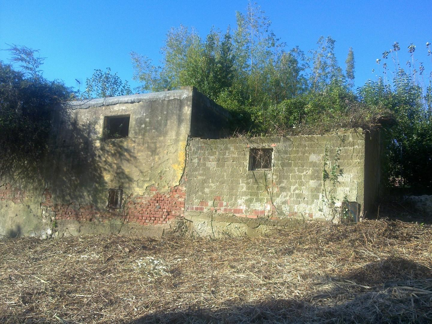 immagine annuncio 3 di 4