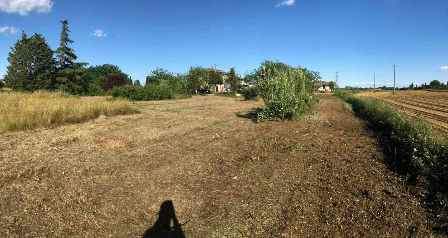 immagine annuncio 5 di 8