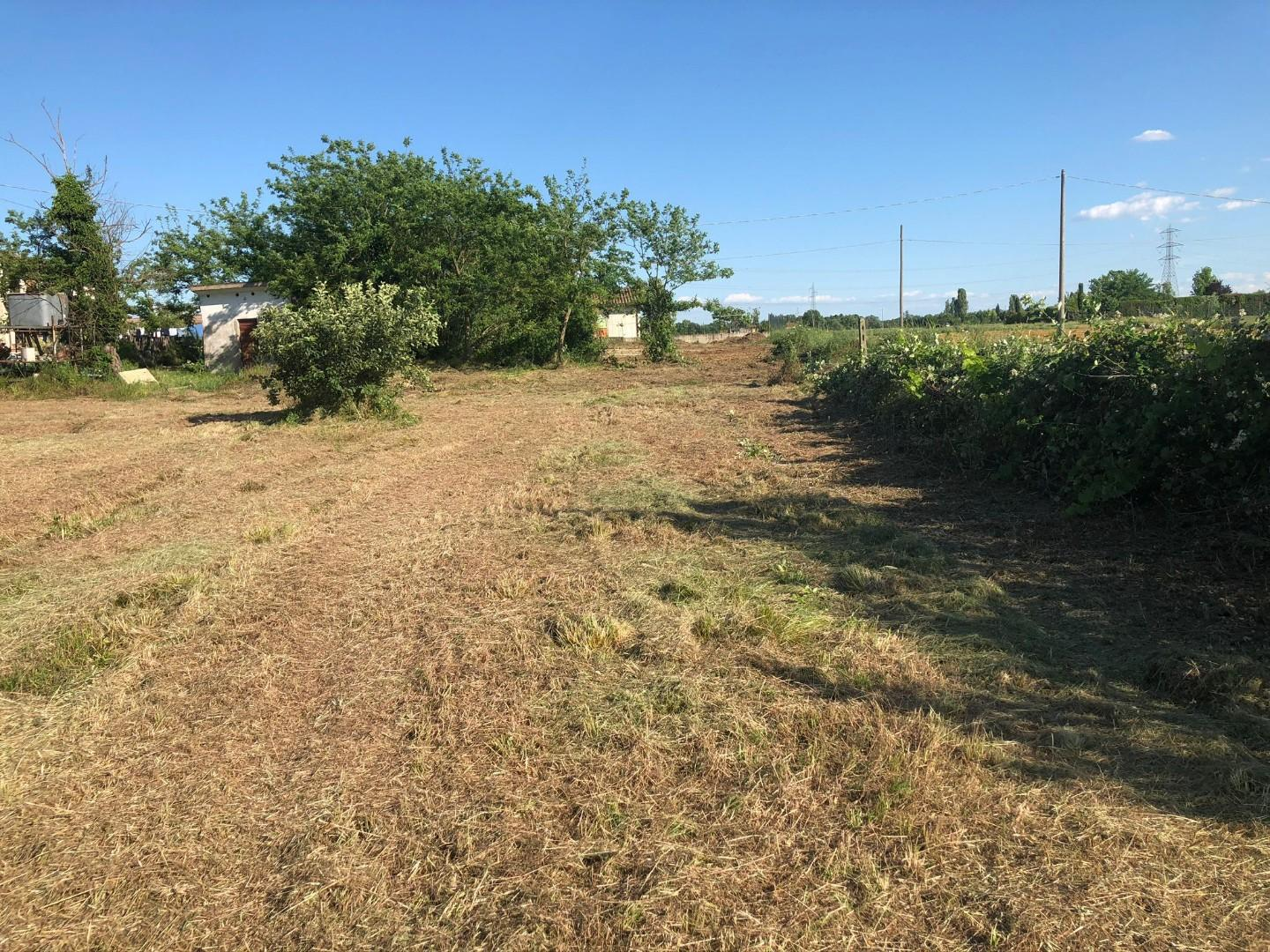 immagine annuncio 6 di 8