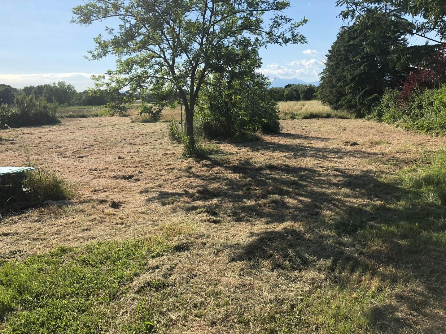 immagine annuncio 7 di 8