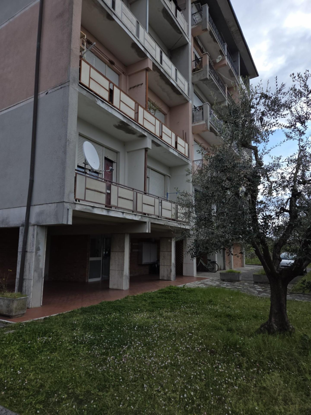 immagine annuncio 3 di 10