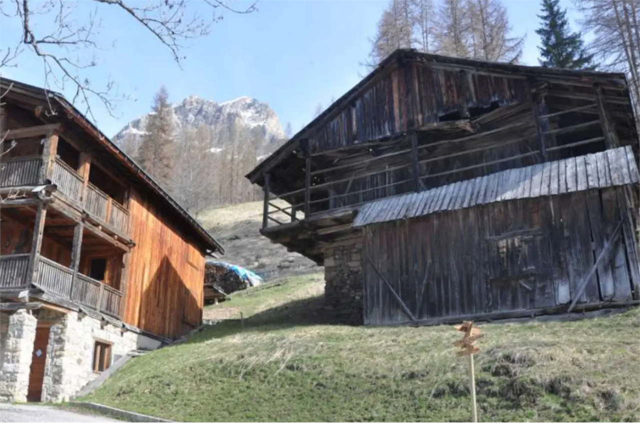 immagine annuncio 3 di 10