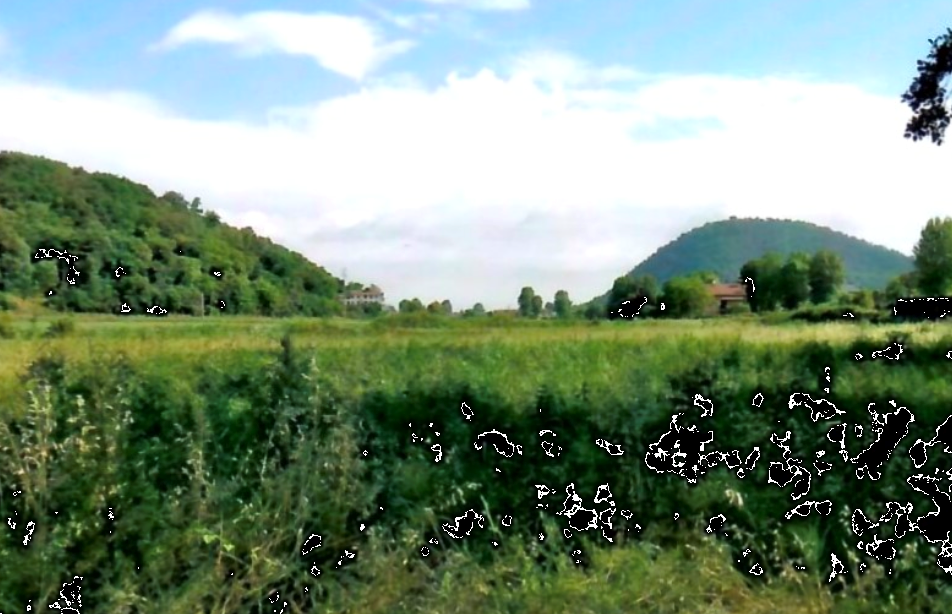 immagine annuncio 3 di 9