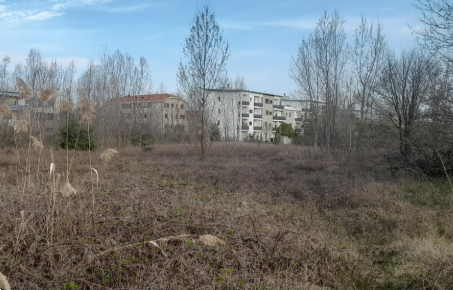 immagine annuncio 8 di 10