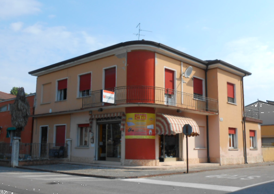 immagine annuncio 2 di 10