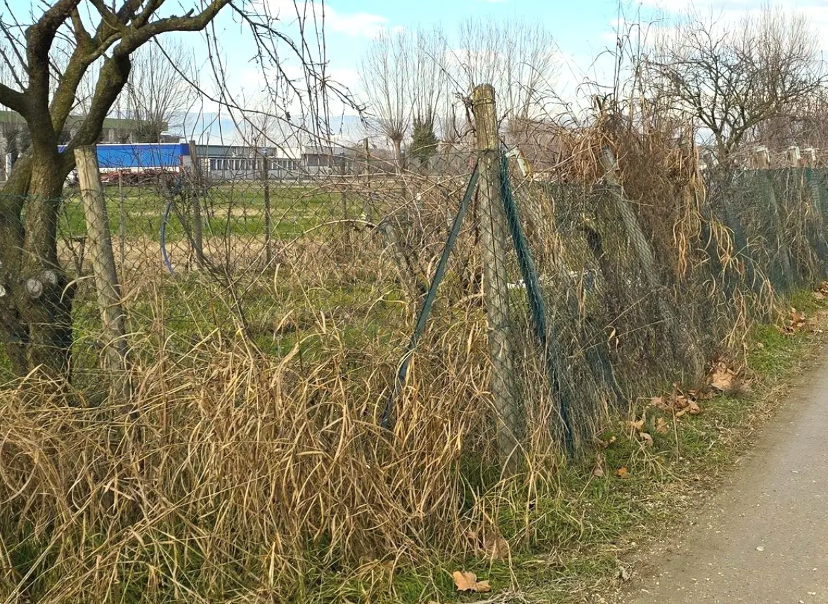 immagine annuncio 2 di 10