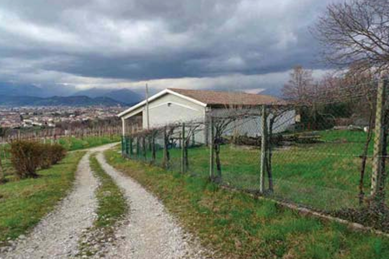 immagine annuncio 4 di 10