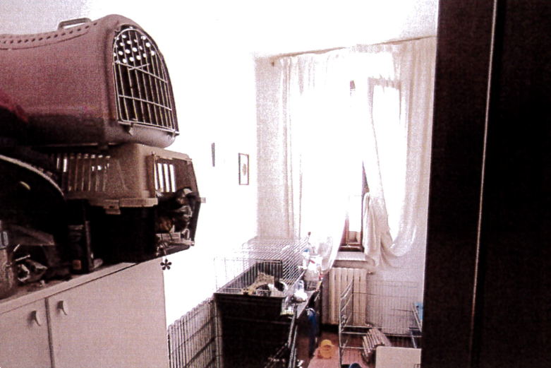 immagine annuncio 9 di 10