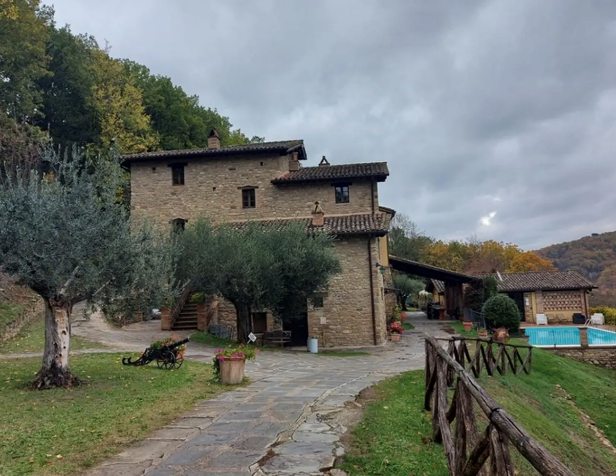 immagine annuncio 6 di 10