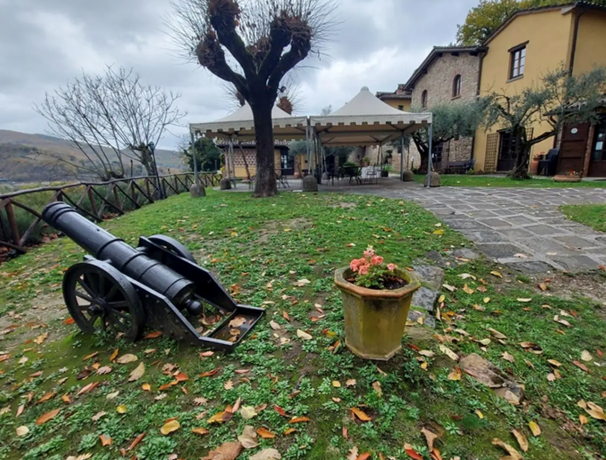 immagine annuncio 9 di 10