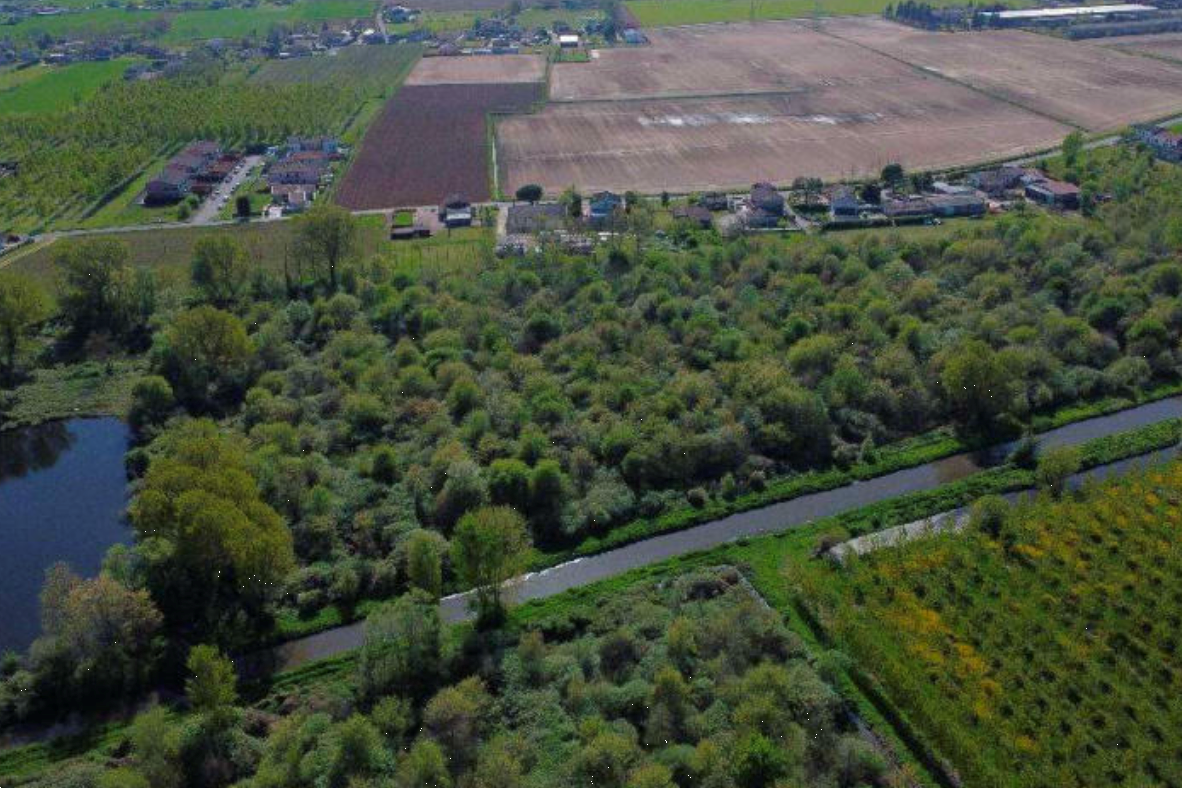 immagine annuncio 2 di 10