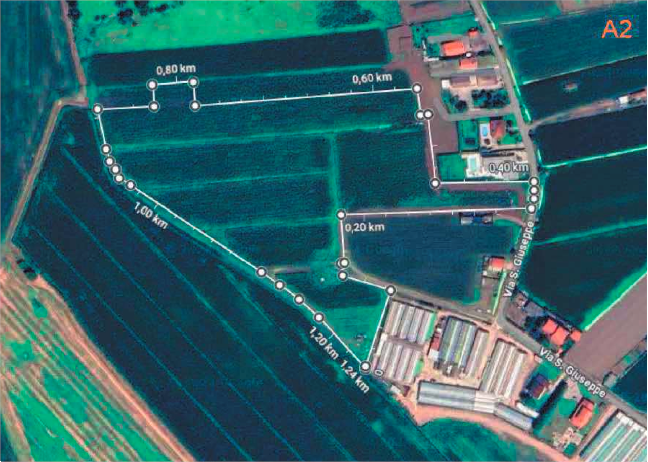 immagine annuncio 7 di 10