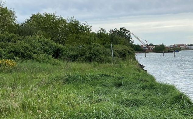 immagine annuncio 2 di 10