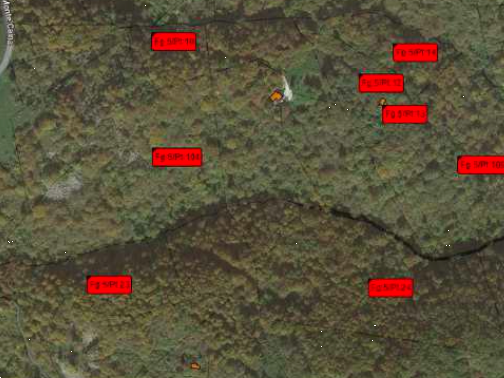 immagine annuncio 3 di 9