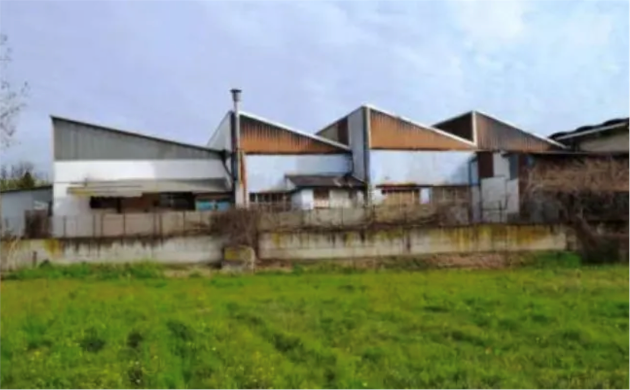 immagine annuncio 1 di 10