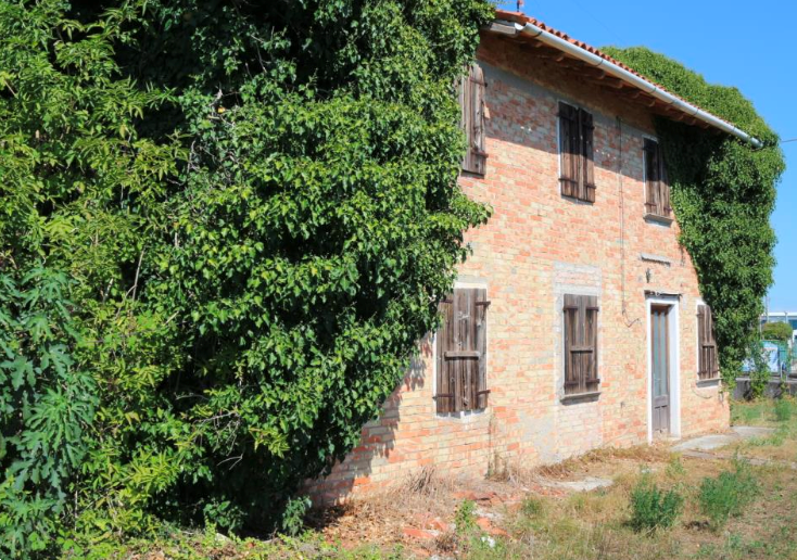 immagine annuncio 3 di 8