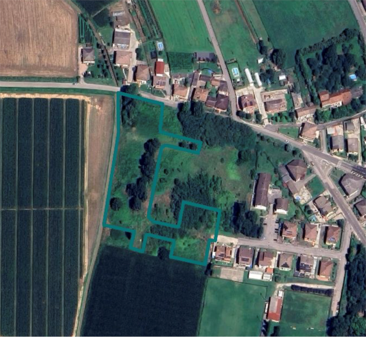 immagine annuncio 2 di 10