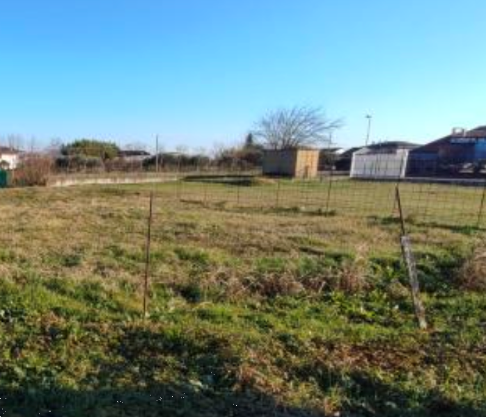 immagine annuncio 5 di 10