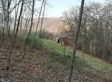 immagine annuncio 3 di 10