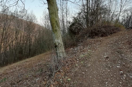 immagine annuncio 7 di 10