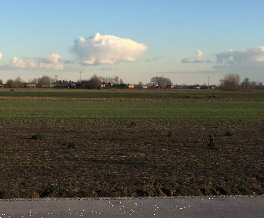 immagine annuncio 3 di 9