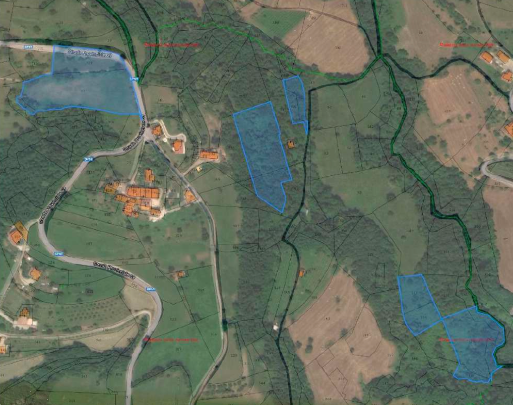 immagine annuncio 3 di 10