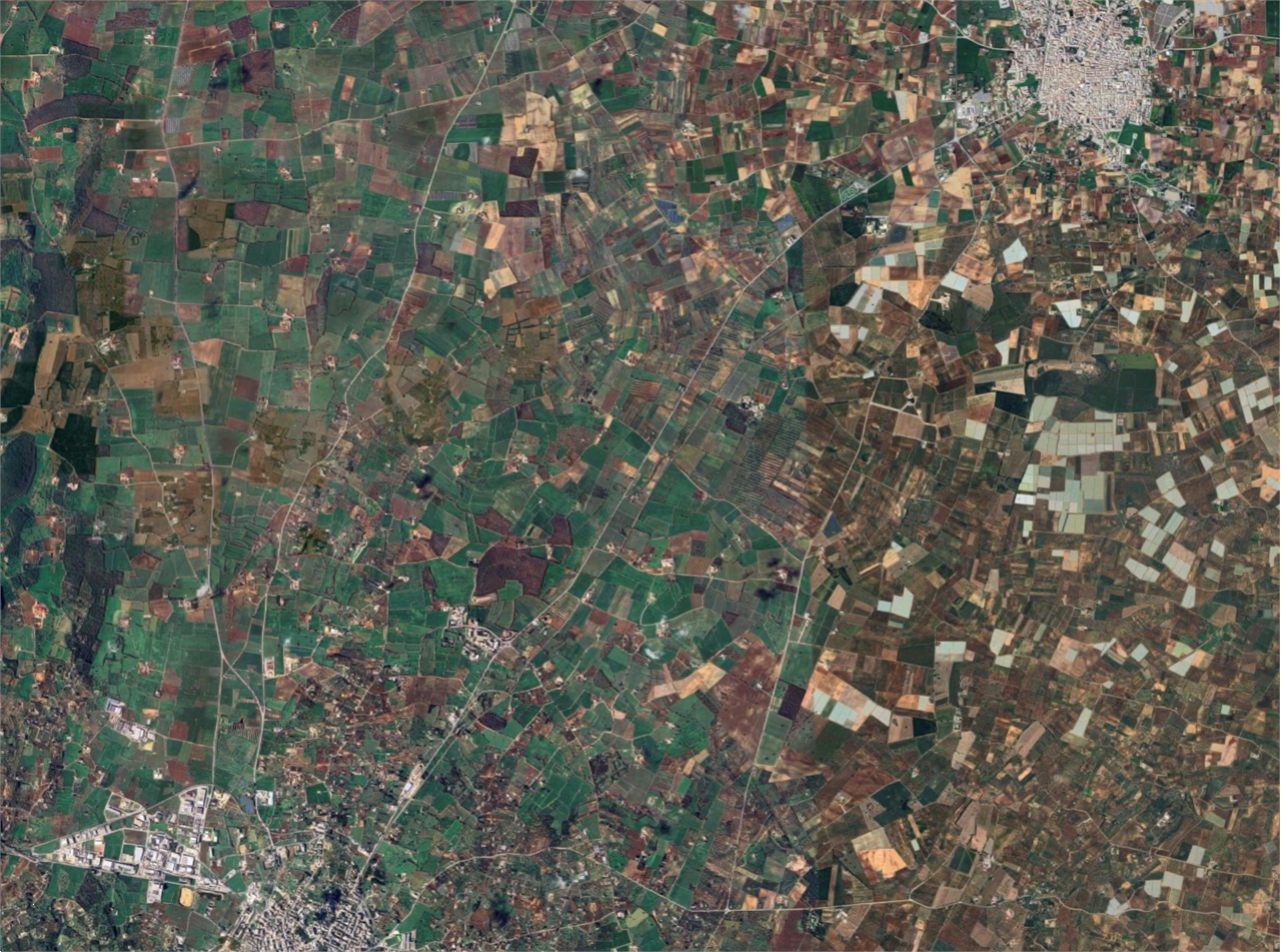 immagine annuncio 9 di 10