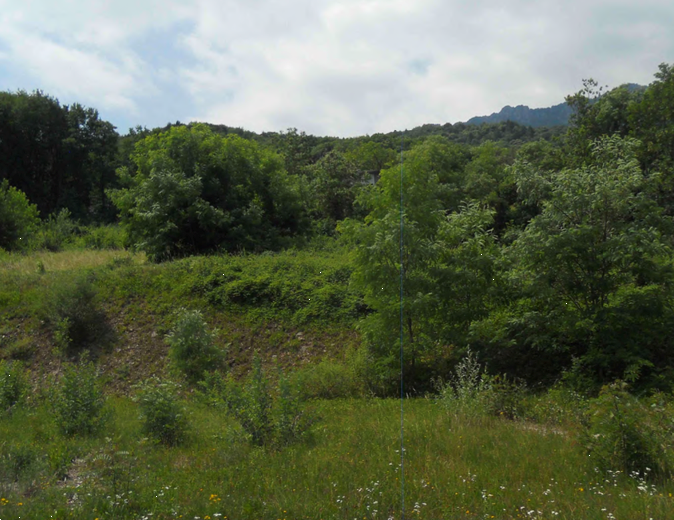 immagine annuncio 4 di 10