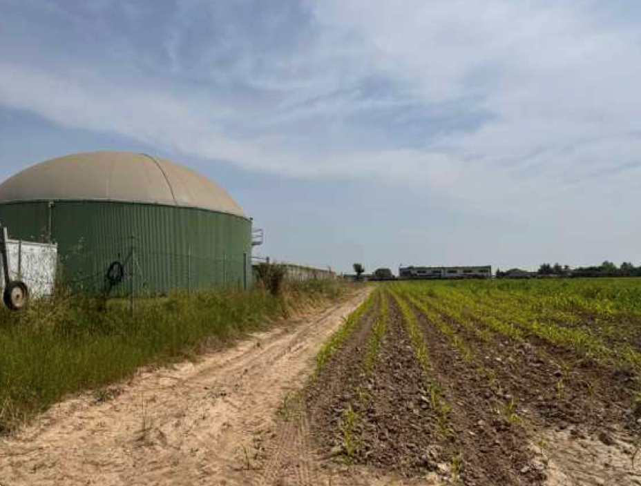 immagine annuncio 5 di 10