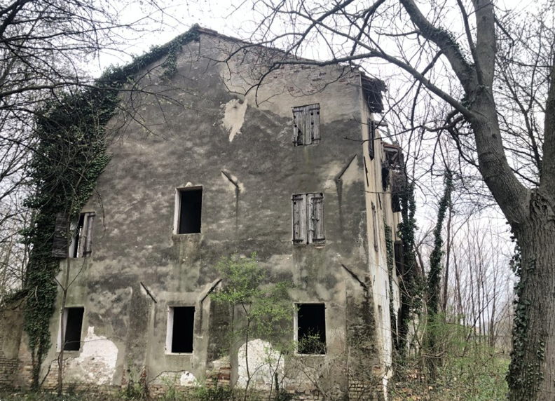 immagine annuncio 5 di 10