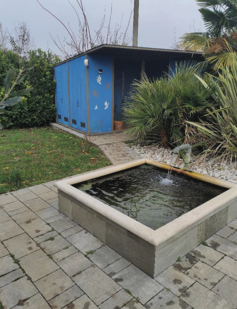 immagine annuncio 7 di 10