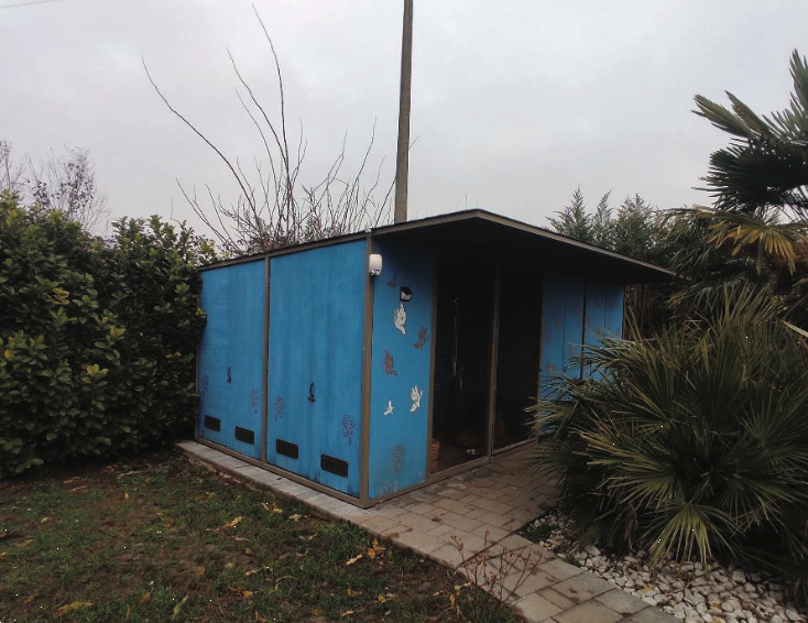 immagine annuncio 9 di 10